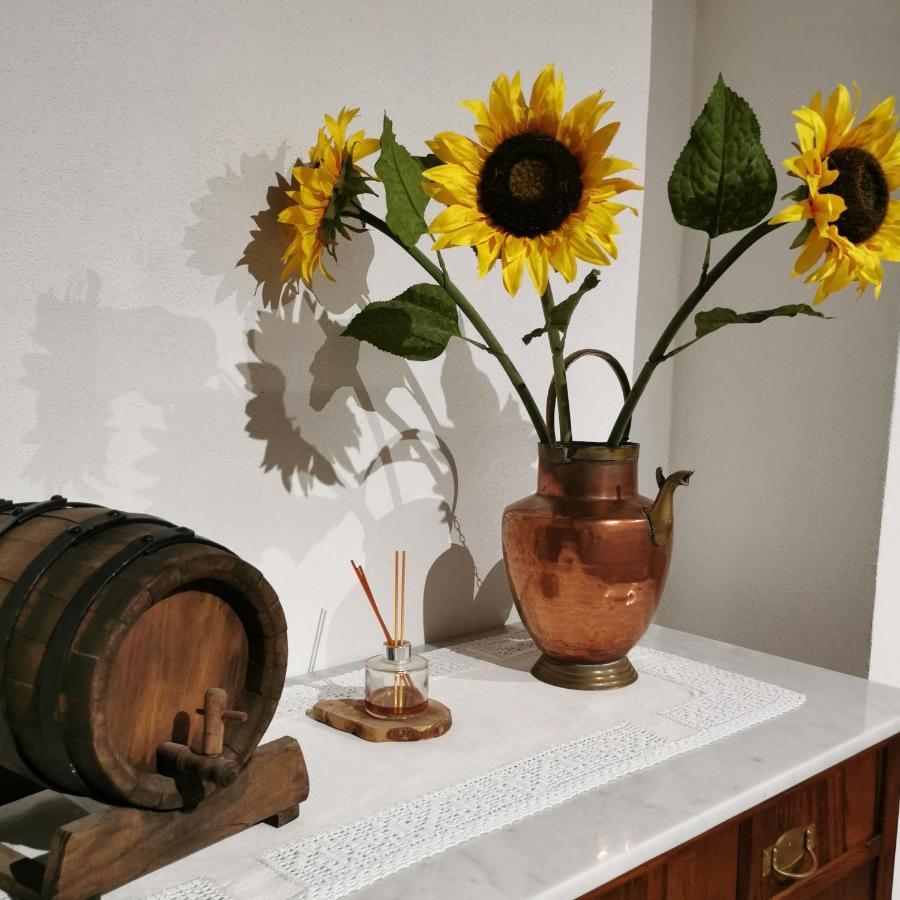 Otello Guest House Montalcino Dış mekan fotoğraf